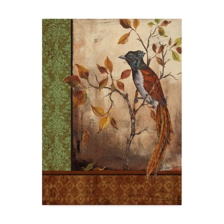 Jean Plout 'Paradise Flycatcher' Canvas Art,14x19